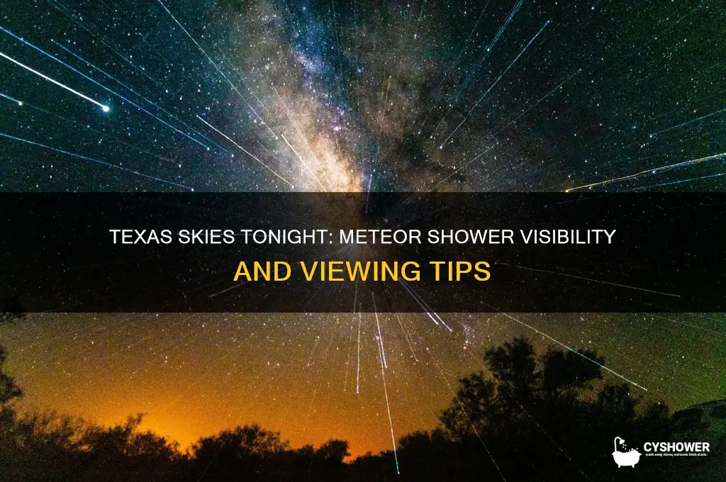 is there a meteor shower tonight in texas