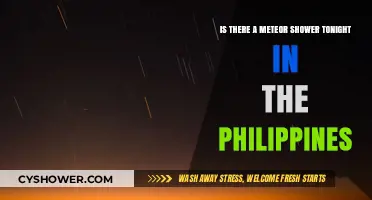 Meteor Shower Tonight in the Philippines: What to Expect