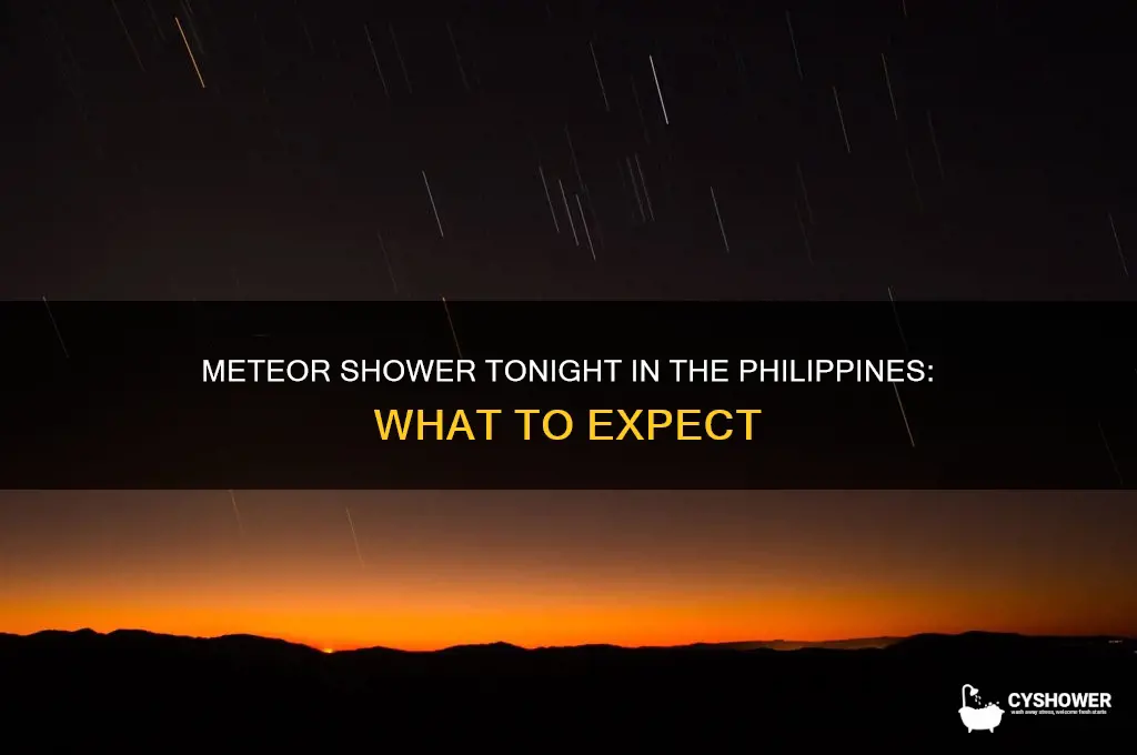 is there a meteor shower tonight in the philippines