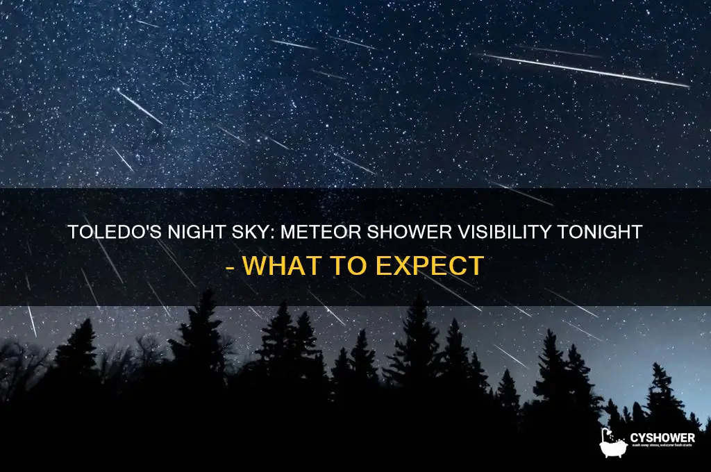 is there a meteor shower tonight in toledo