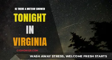 Virginia's Night Sky: Meteor Shower Visibility Tonight – What to Expect