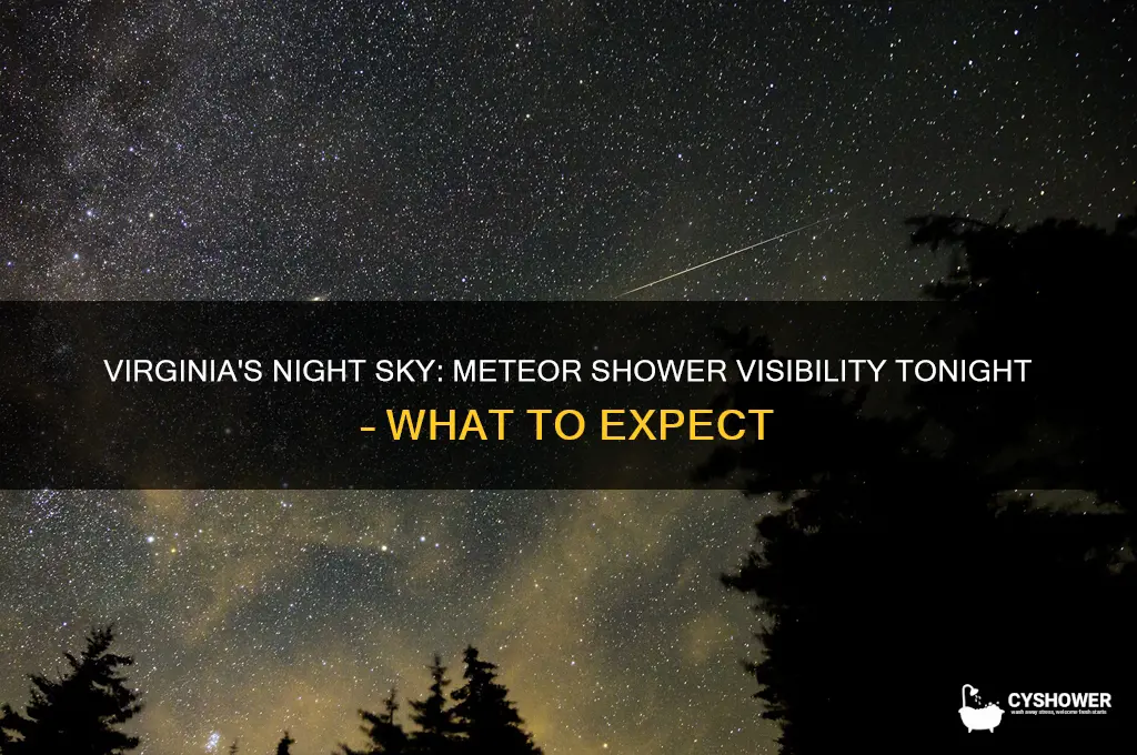 is there a meteor shower tonight in virginia