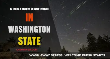 Washington State Skies: Meteor Shower Visibility Tonight?