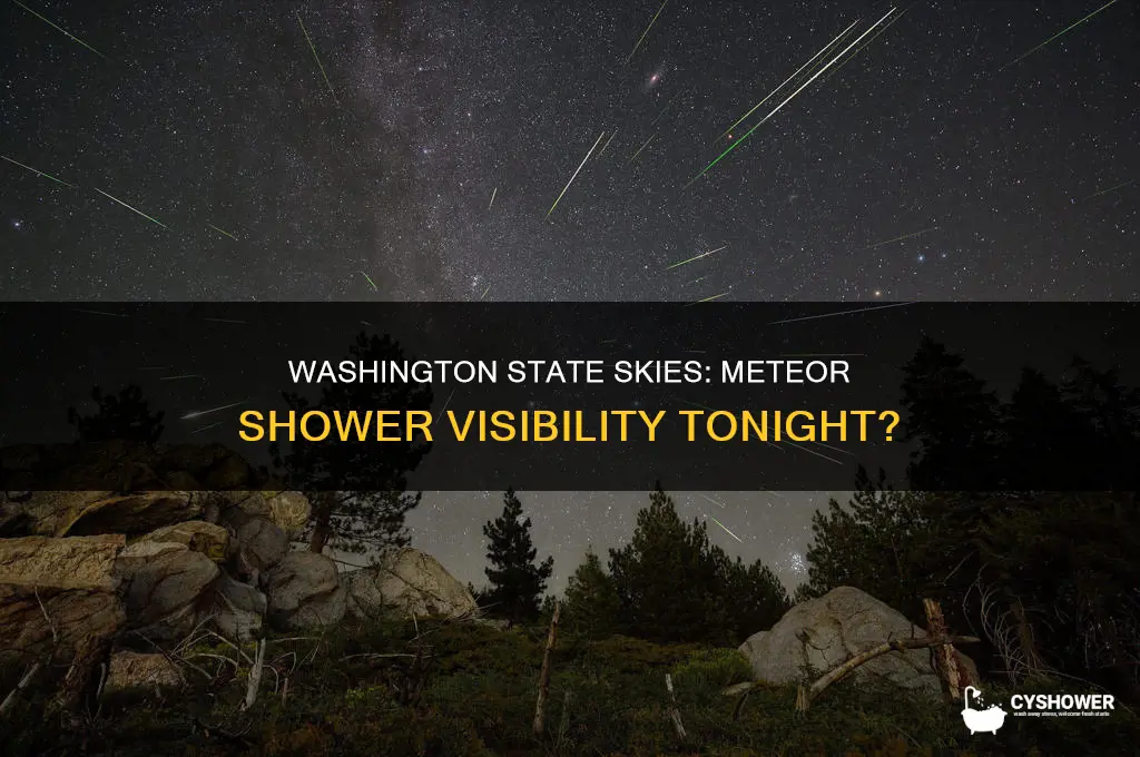 is there a meteor shower tonight in washington state