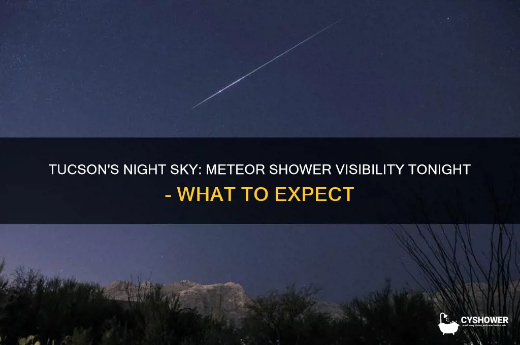 is there a meteor shower tonight tucson