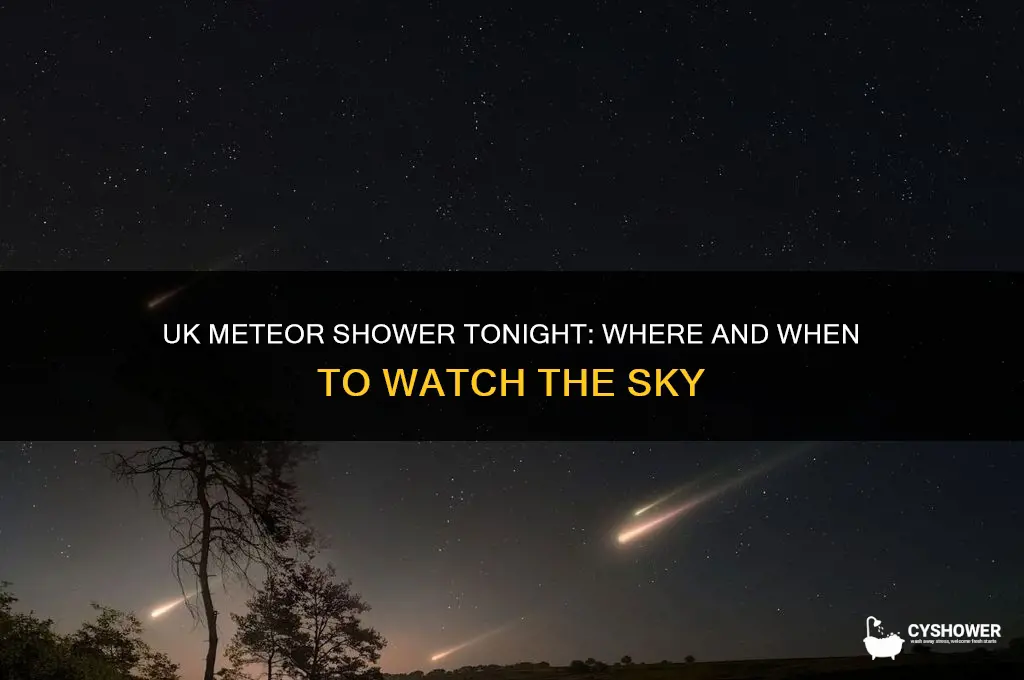 is there a meteor shower tonight uk