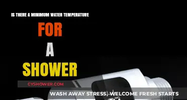 Ideal Shower Temperature: Is There a Minimum Water Threshold?
