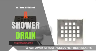 Shower Drain Mystery: Does It Include a P-Trap?