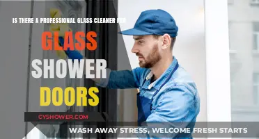 Best Professional Glass Cleaners for Spotless Shower Doors: Expert Picks
