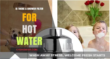 Can You Use a Shower Filter for Hot Water? Find Out Here