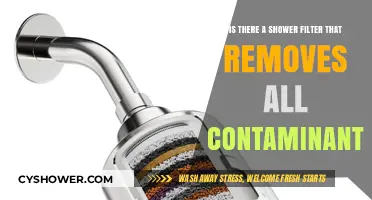 Can Any Shower Filter Truly Eliminate All Water Contaminants?