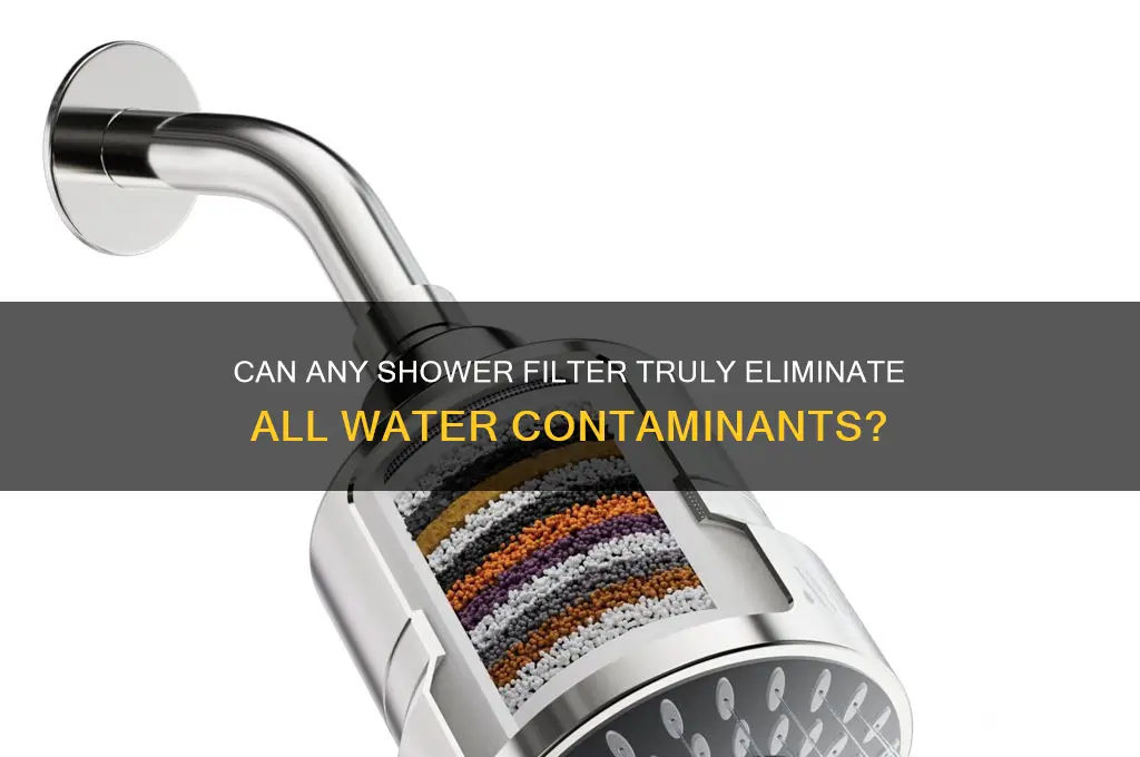 is there a shower filter that removes all contaminants