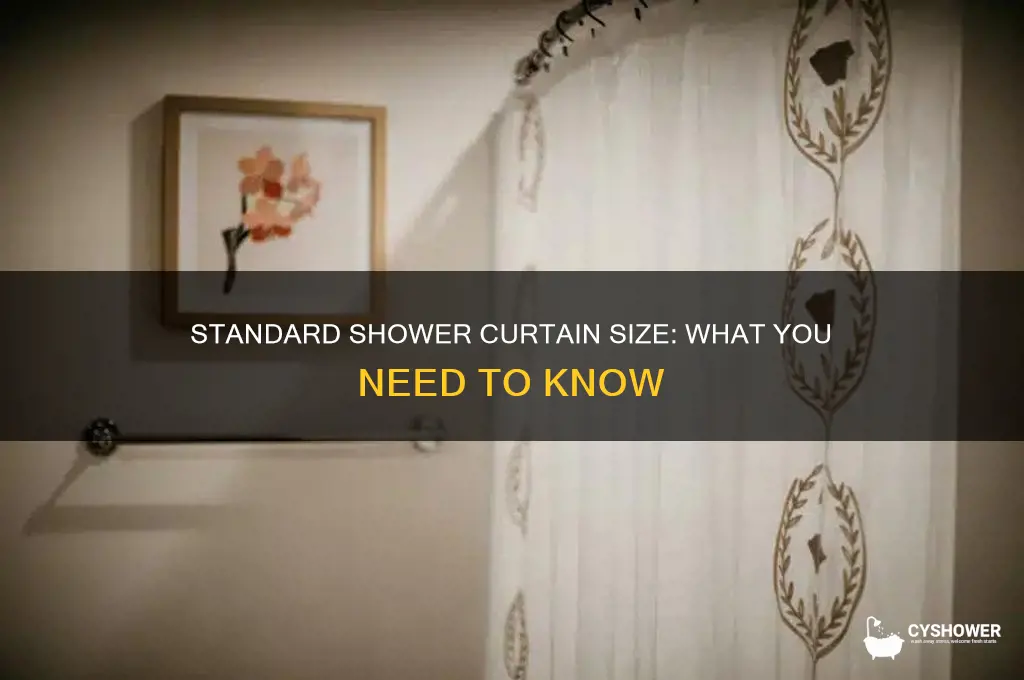 is there a standard shower curtain size