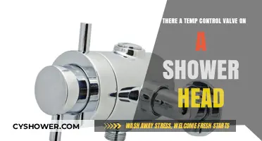 Does Your Shower Head Have a Temperature Control Valve?