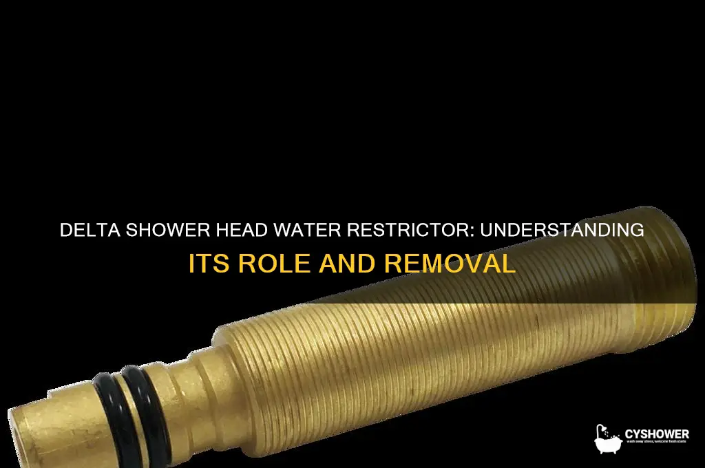 is there a water restrictor in a delta shower head