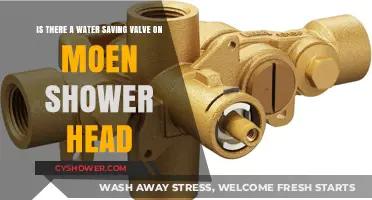 Moen Shower Head Water Saving Valve: Fact or Fiction?