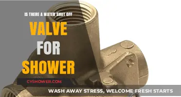 Where to Find Your Shower's Water Shut-Off Valve: A Quick Guide