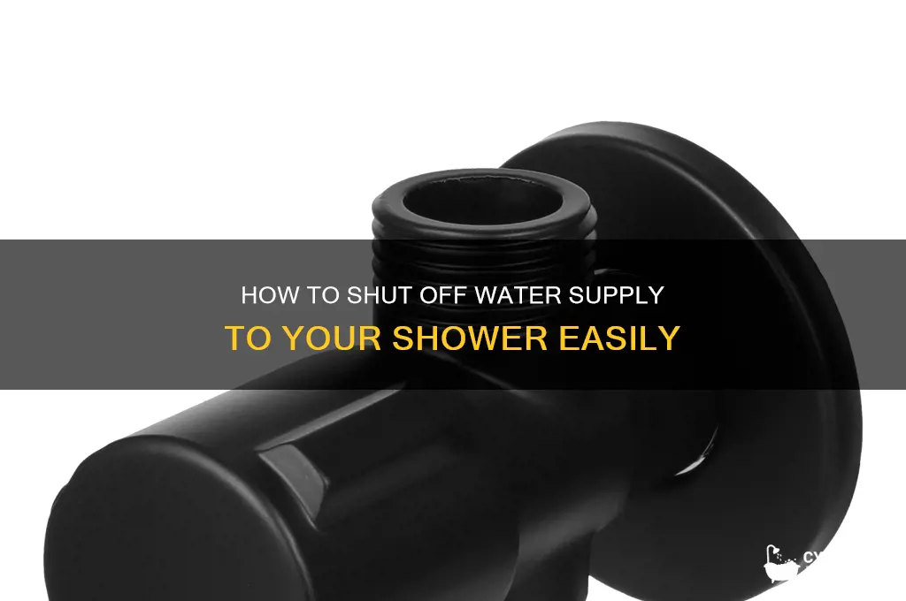is there a way to turn off water to shower