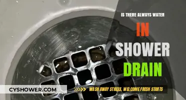 Is There Always Water in Your Shower Drain? Explained