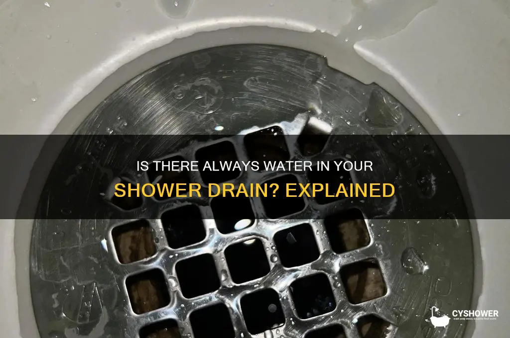 is there always water in shower drain