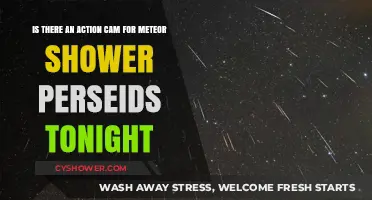 Capture the Perseids Tonight: Best Action Cam for Meteor Shower