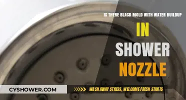 Black Mold Risk: Water Buildup in Shower Nozzles Explained