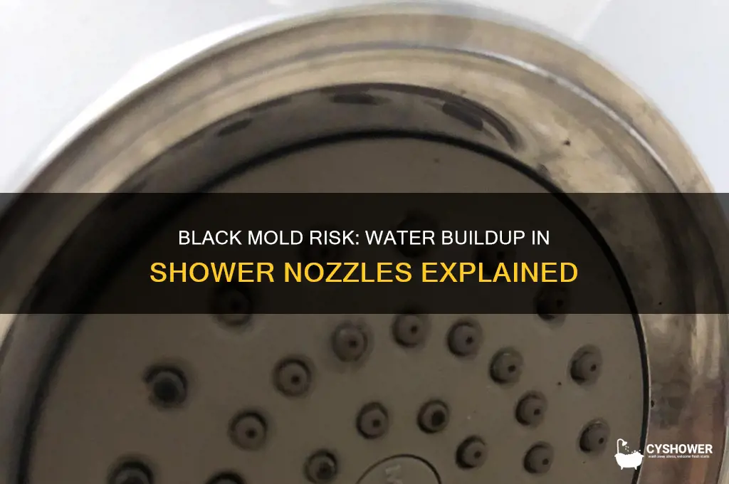 is there black mold with water buildup in shower nozzle