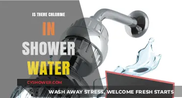 Chlorine in Shower Water: What You Need to Know
