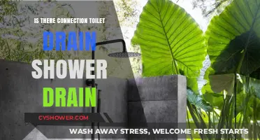 Are Your Toilet and Shower Drains Connected? Plumbing Insights