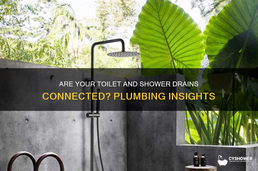 is there connection toilet drain shower drain