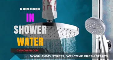 Fluoride in Shower Water: What You Need to Know