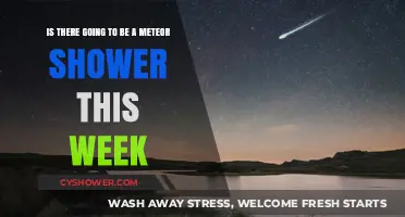 Upcoming Meteor Shower: Will This Week Light Up the Night Sky?