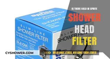 Does the Sprite Shower Head Filter Contain Gold? Unveiling the Truth