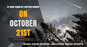 October 21st Meteor Shower: What to Expect in the Night Sky