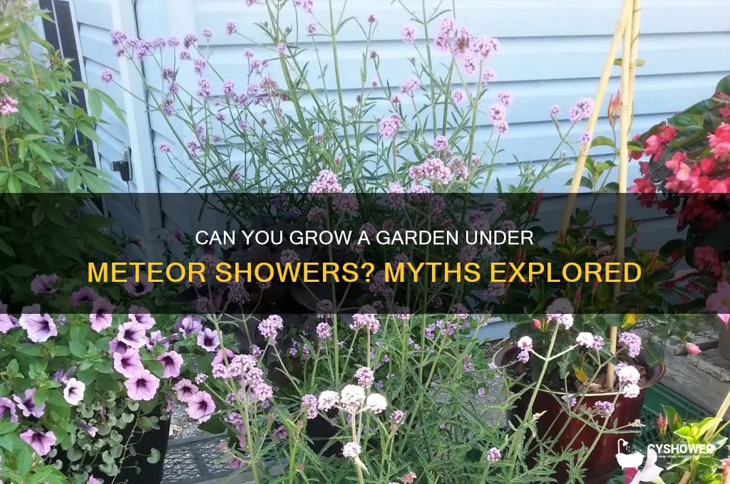 is there still meteor shower in grow a garden