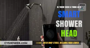 Smart Shower Heads: Revolutionizing Bath Time or Just a Gimmick?