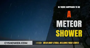Are Meteor Showers Scheduled? Exploring Celestial Events and Predictions
