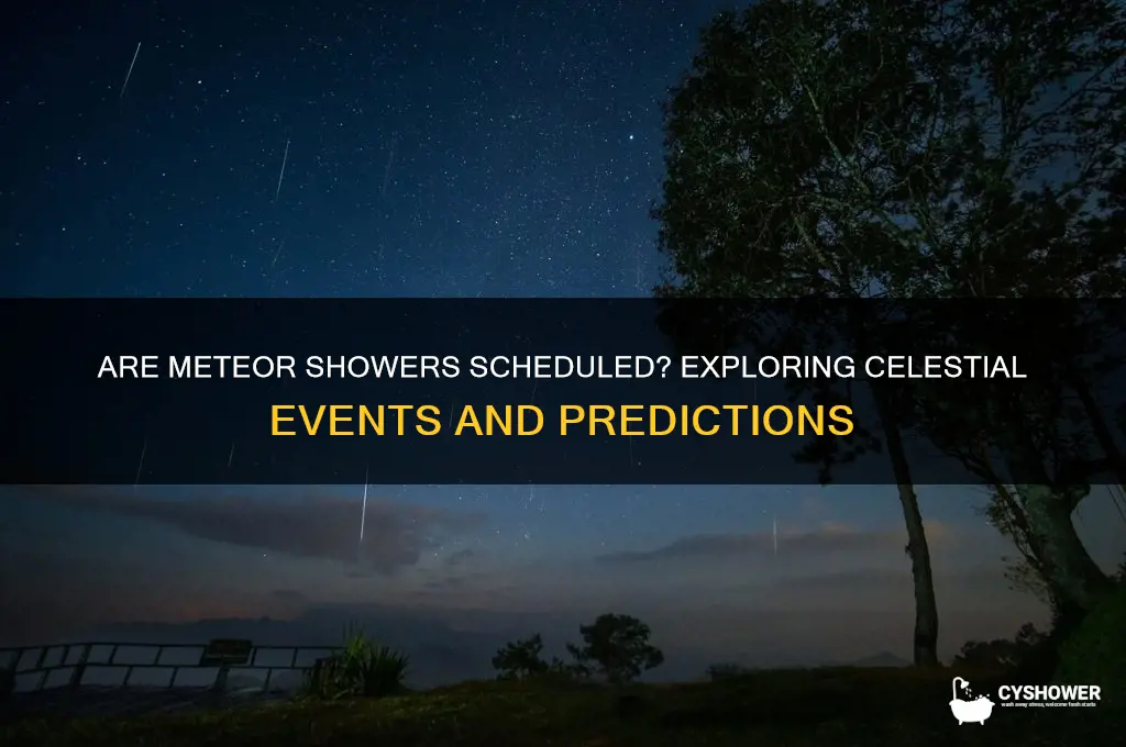 is there supposed to be a meteor shower