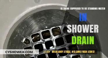 Standing Water in Shower Drain: Normal or Plumbing Issue?