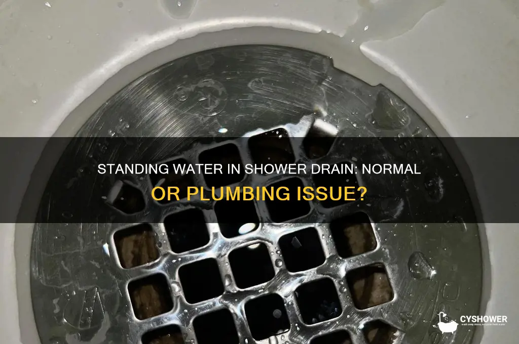 is there supposed to be standing water in shower drain