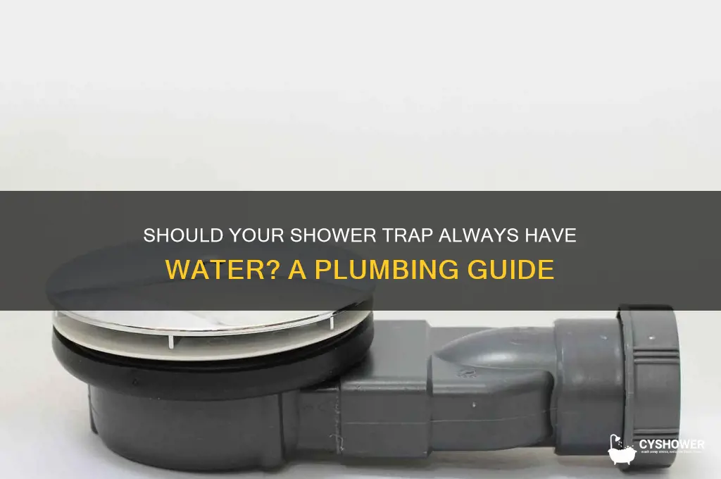 is there supposed to be water in the shower trap