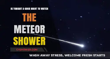 Clear Skies Tonight: Ideal Conditions for Meteor Shower Viewing?