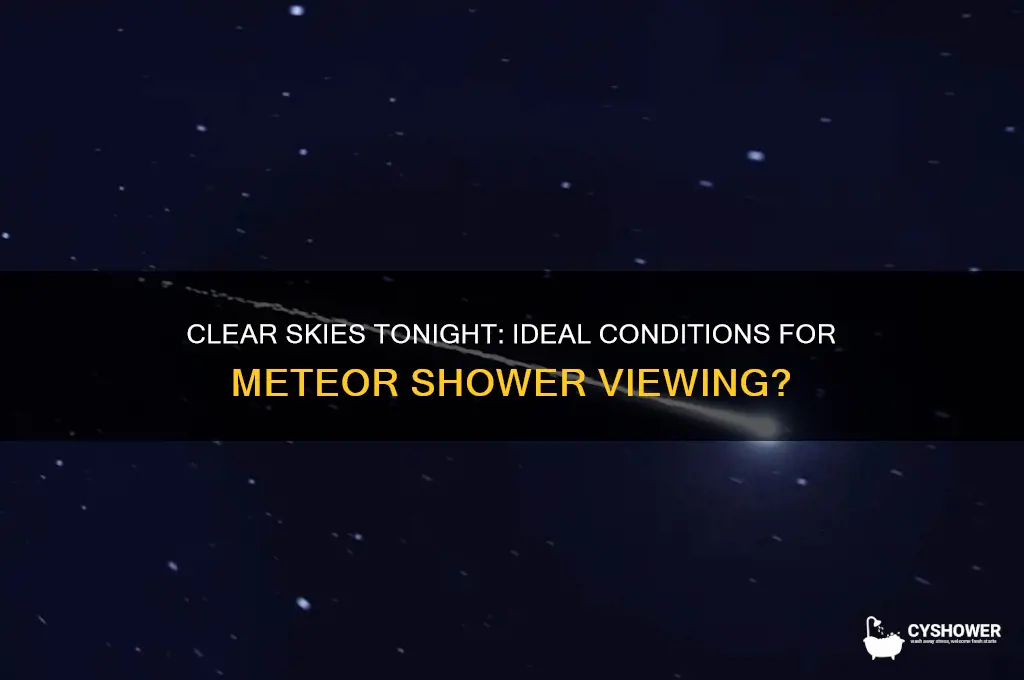 is tonight a good night to watch the meteor shower