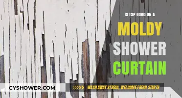 Can TSP Effectively Clean Mold from Your Shower Curtain?