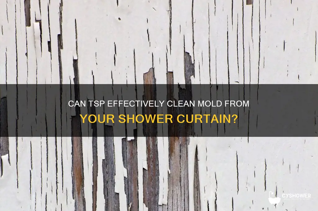 is tsp good on a moldy shower curtain