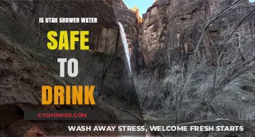 Is Utah Shower Water Safe to Drink? Facts and Risks Explained