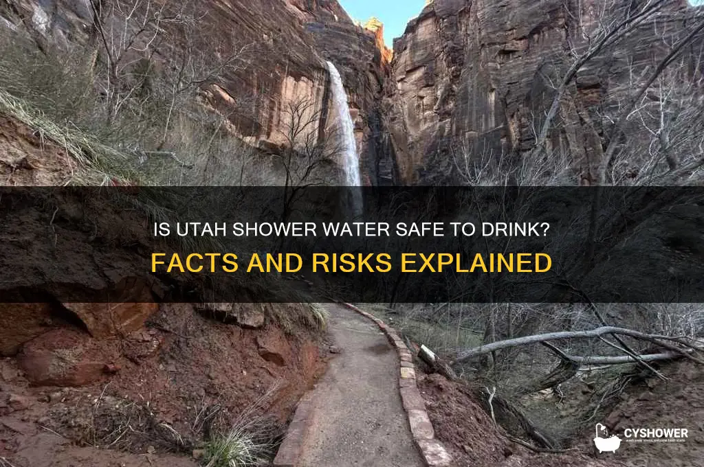 is utah shower water safe to drink