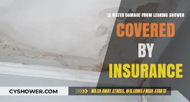 Does Home Insurance Cover Leaking Shower Water Damage?