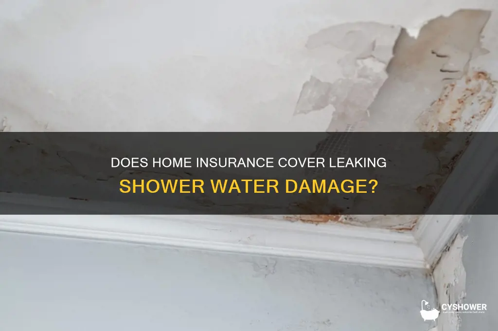 is water damage from leaking shower covered by insurance