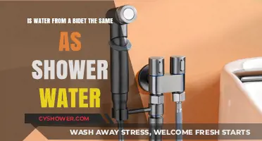 Bidet vs. Shower: Is the Water Quality Really the Same?
